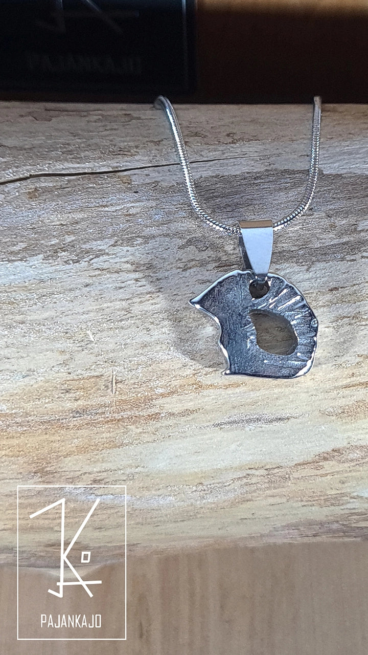 Siili - Teräskaulakoru